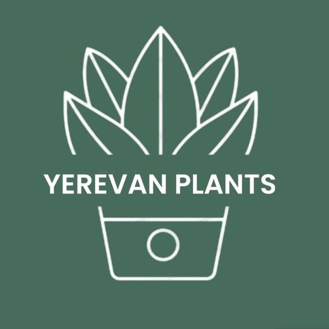  Цветочный Ереван 🪴 Yerevan Plants