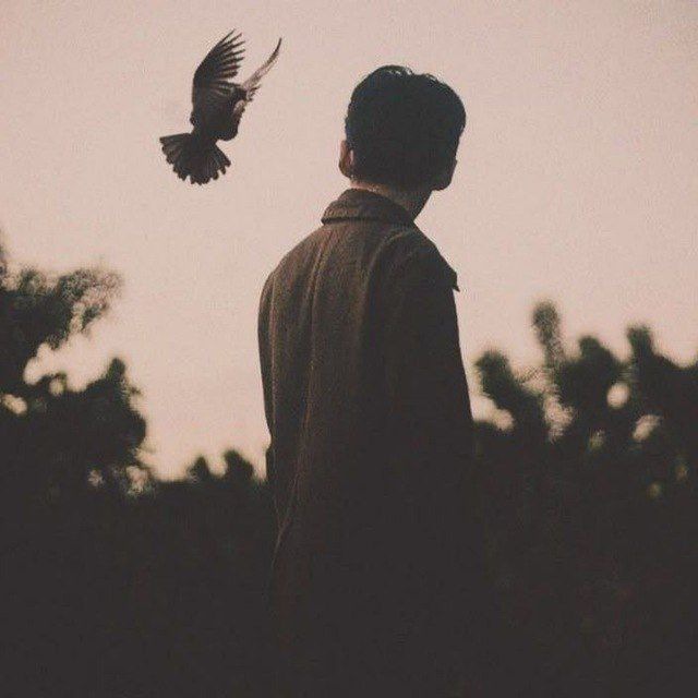  𝙋𝙧𝙞𝙣𝙘𝙚 𝘾𝙃𝘼𝙏