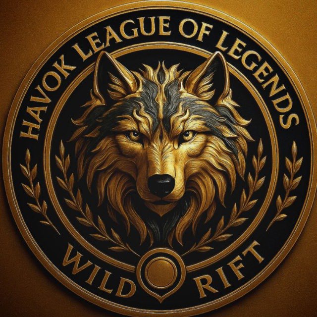  Havok League of Legends | Wild rift Gp
