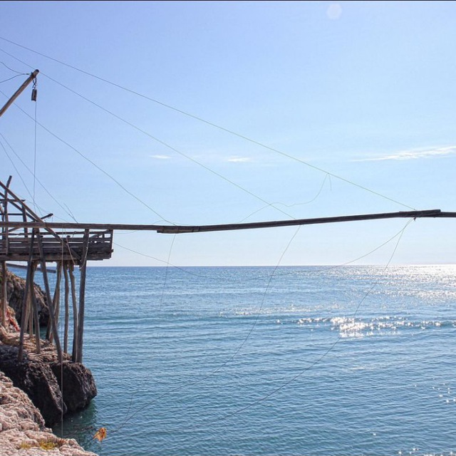  Amicizie Pugliesi N.2