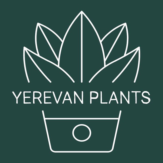  Цветочный Ереван 🪴 Yerevan Plants