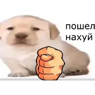 Sticker 🖕 Какое-то уебище :: @fStikBot