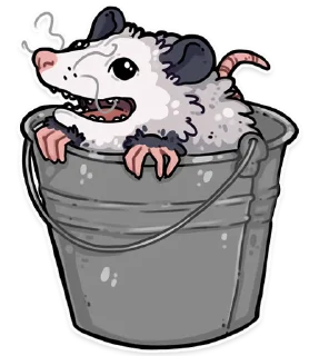 Sticker 🙊 awesomepossum (@kotypic)