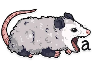 Video sticker 🅰️ awesomepossum (@kotypic)