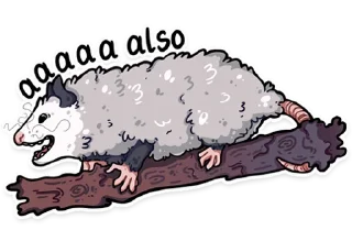 Sticker 😱 awesomepossum (@kotypic)