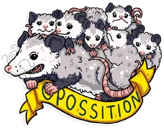 Video sticker 💛 awesomepossum (@kotypic)