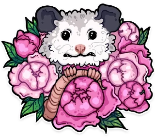 Sticker 🌸 awesomepossum (@kotypic)