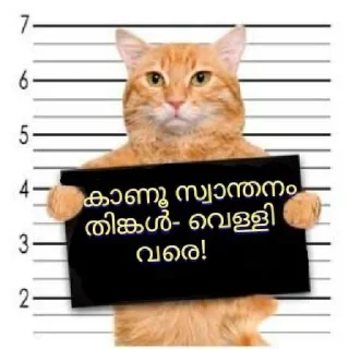 Sticker 😹 Peekiri ponnu 2