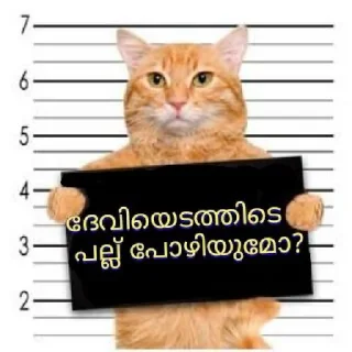 Sticker 😹 Peekiri ponnu 2