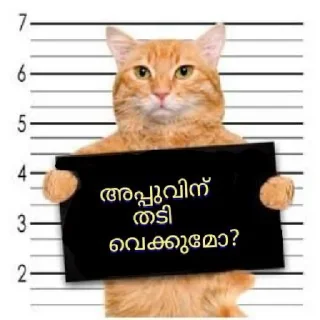 Sticker 😹 Peekiri ponnu 2