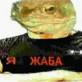 Sticker 🐸 какие-то три дуры