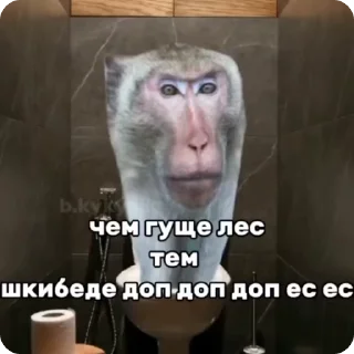 Sticker 🚽 Пон-дурацкое слово 3 Финал :: @fStikBot