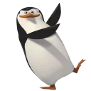 Video sticker 🐧 Madagascar