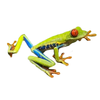 Sticker 🐸 frogs @lefrogge