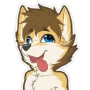 Video sticker 😦 Cyberpaws