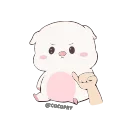 Video sticker 😤 Baby Pig 🐷 @cocopry