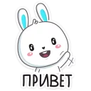 Sticker 👍 Rabbit