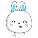 Video sticker 😛 Rabbit