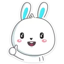 Video sticker 👍 Rabbit