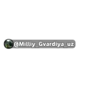 Sticker 👨‍🎤 @Milliy_Gvardiya_uz ( @assaparty )