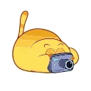 Video sticker 📸 Happy Kitty- @cocopry