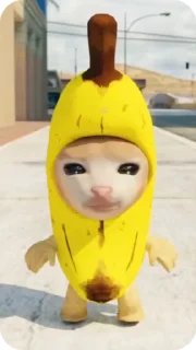 Video sticker 🚶 Banana Cat :: @fStikBot