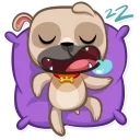 Video sticker 😴 Zac The Pug