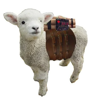 Sticker 🐏 Bomb Token