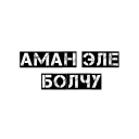 Video sticker 🌐 Чёткий бала