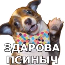 Sticker 😀 КОКОИ ТИ ПЕС