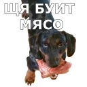 Sticker 🍗 КОКОИ ТИ ПЕС