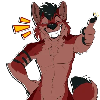 Video sticker 👍 Ace Koyote