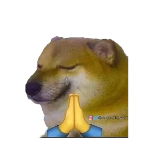 Sticker 🙏 Doge Pack V2 Pratheek