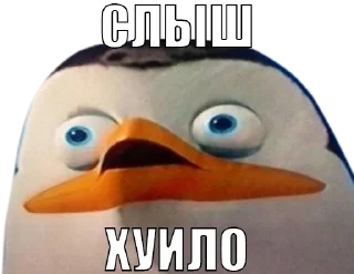 Sticker 🤬 Для отбитых на всю голову