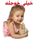 Sticker 👍 Amirho3einmomeni_نی نی کده