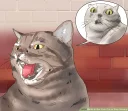 Sticker 😠 wikihow cats