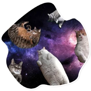 Sticker 😴 Space Cats