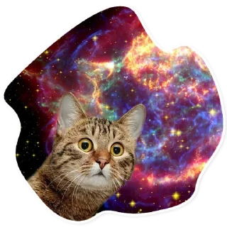 Sticker 🙄 Space Cats