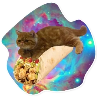 Sticker 🌯 Space Cats