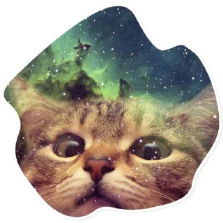 Sticker 😎 Space Cats