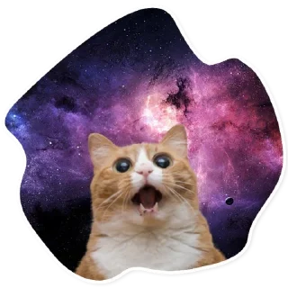 Sticker 😂 Space Cats