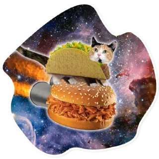 Video sticker 🍔 Space Cats