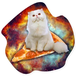 Sticker 🍕 Space Cats