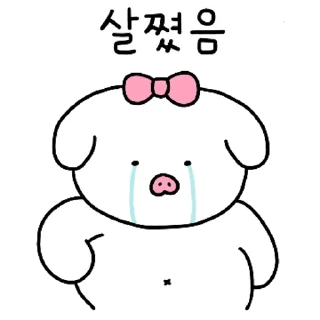 Video sticker 💬 요즘댕댕이 By @KakaoEmoticon