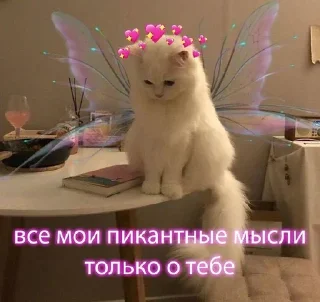 Sticker 😏 🌚🌸для важных переговоров 🌸🌚