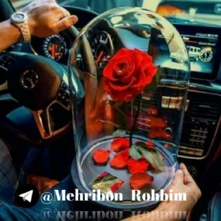 Sticker 🌹 Mehribon_robbim