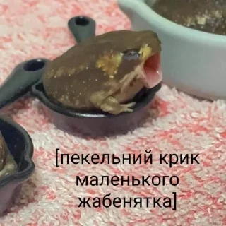 Sticker 🐸 Квакушки