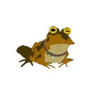 Video sticker 😐 Hypnotoad     (@TgSticker)