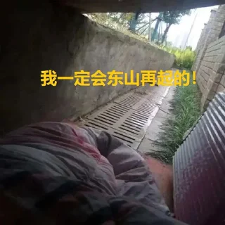 Video sticker 😬 金狗社区专用