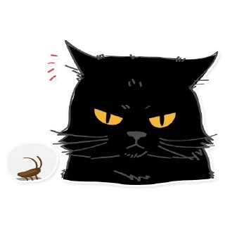 Video sticker 😾 Black Cat